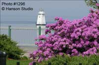 Burlington, VT - Waterfront, North Light and Flowers